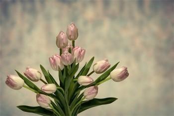 新華保險(xiǎn)吉星高照