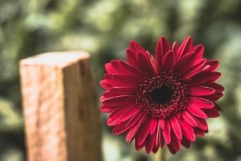 新華保險(xiǎn)交了六年退保能退多少錢