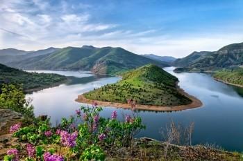 華夏保險分紅型5年退保扣多少錢