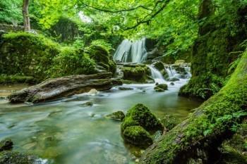 保險(xiǎn)交了二十年退保能退多少