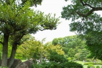 百萬醫(yī)療跟住院醫(yī)療有什么區(qū)別 