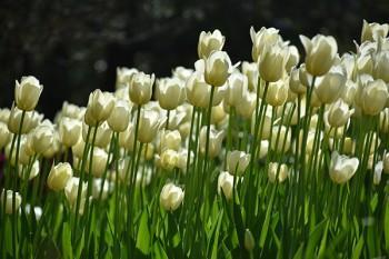 48歲女買健康險(xiǎn)退保合算嗎 