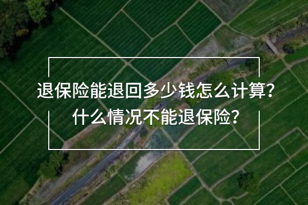 退保險能退回多少錢怎么計算