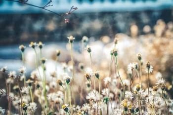 保險公司退保損失怎么辦