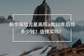 新華保險吉星高照a款20年后領多少錢