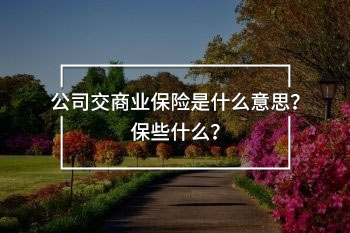 公司交商業(yè)保險是什么意思