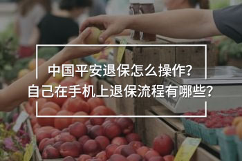 中國平安退保怎么操作
