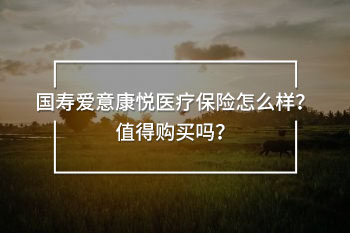 國壽愛意康悅醫(yī)療保險(xiǎn)怎么樣
