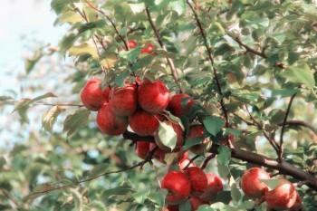 分紅型保險(xiǎn)中途退保能退多少