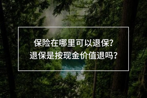 保險在哪里可以退保