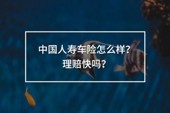 中國人壽車險怎么樣