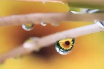 個人交社保和單位交社保的區(qū)別