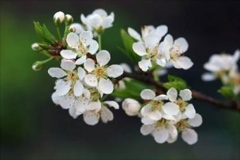 保險(xiǎn)交了一年中途退了可以退多少錢(qián)