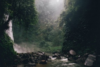 投保人和被保人不同一人退保