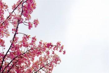 社保斷了幾年可以續(xù)交嗎