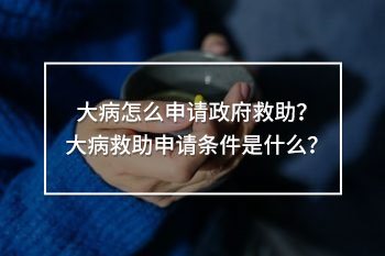 大病怎么申請政府救助