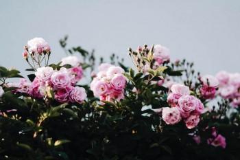 理財(cái)險(xiǎn)到期真的可以返還嗎