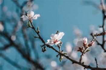 四十歲百萬醫(yī)療險一年要交多少錢