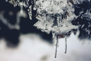 交了兩年的重疾險(xiǎn)可以退嗎