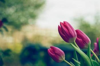 愛(ài)心守護(hù)神長(zhǎng)期意外險(xiǎn)介紹