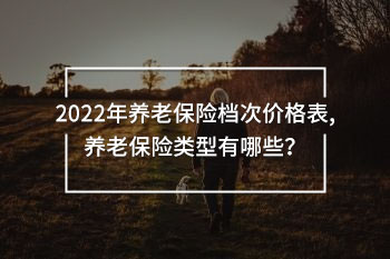 2022年養(yǎng)老保險(xiǎn)檔次價(jià)格表