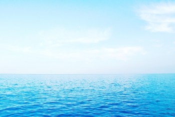 <a href=