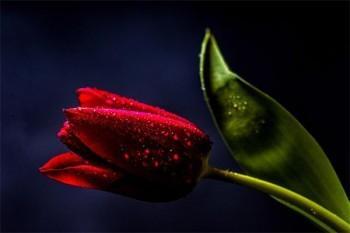 怎么查詢養(yǎng)老保險詳細信息