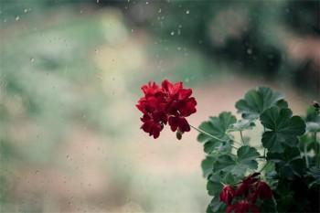 重疾險(xiǎn)買30年還是終身