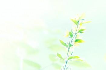 廣州社保檔次標(biāo)準(zhǔn)
