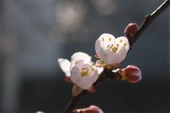 保險(xiǎn)交了兩年一年4000退多少