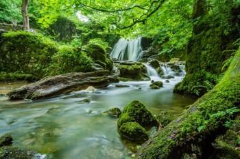 醫(yī)保證明怎么開