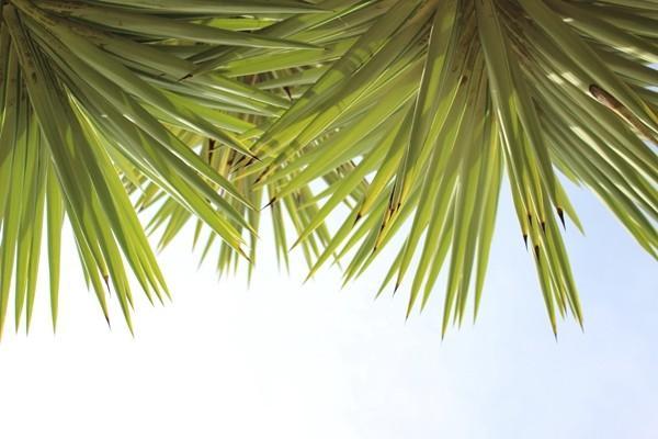 社保全國(guó)聯(lián)網(wǎng)了嗎