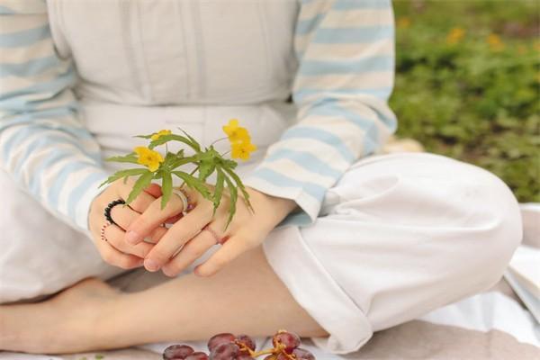 中國平安保險(xiǎn)退保能退多少