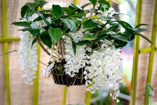 百萬醫(yī)療過了60周歲還可以買嗎