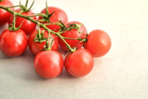 華夏常青樹重疾保險退保能退多少