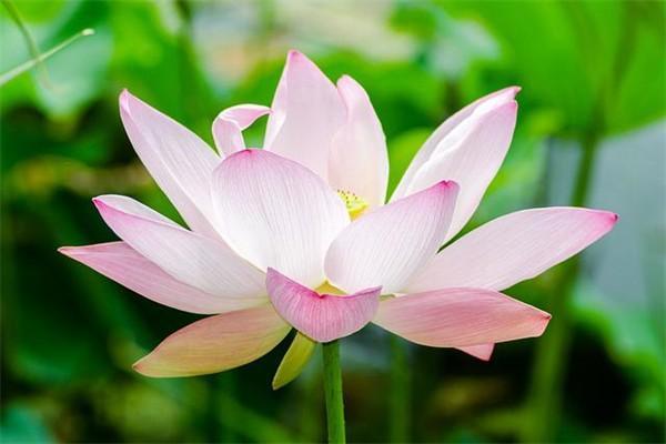 社保繳費(fèi)基數(shù)計(jì)算公式