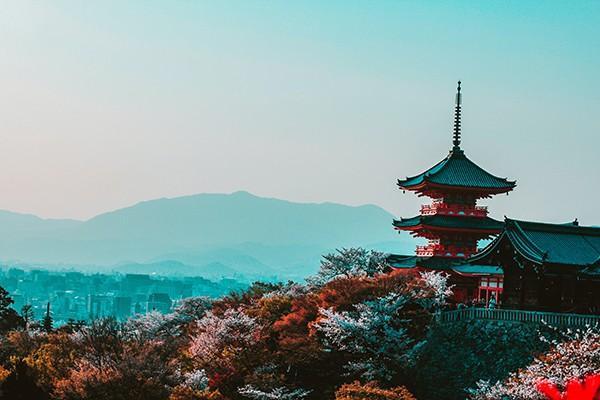 2022年個人交養(yǎng)老保險多少錢