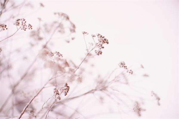 醫(yī)療保險查詢個人賬戶繳費明細查詢