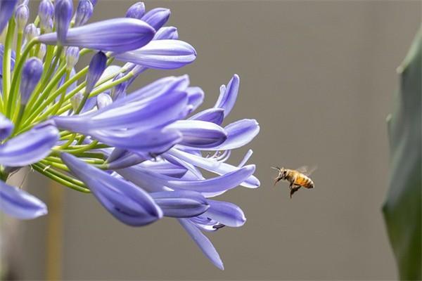 杭州社保最低繳費(fèi)標(biāo)準(zhǔn)是多少