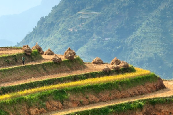 保險(xiǎn)公司墊付的錢沒用完退給誰(shuí)