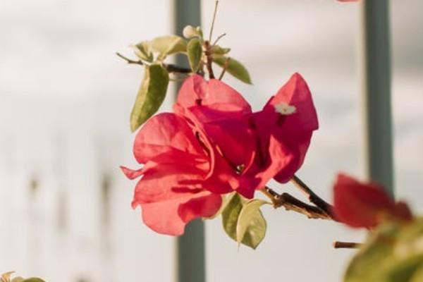 社會保障卡怎么網(wǎng)上激活家人的