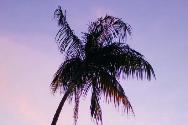 眾安保險600萬醫(yī)療保險保費多少