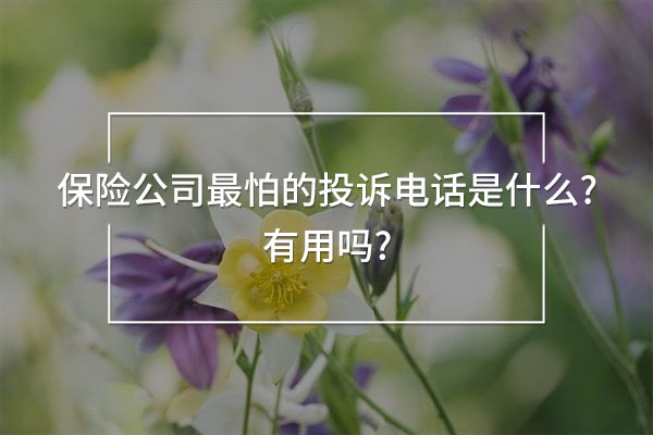 保險(xiǎn)公司最怕的投訴電話是