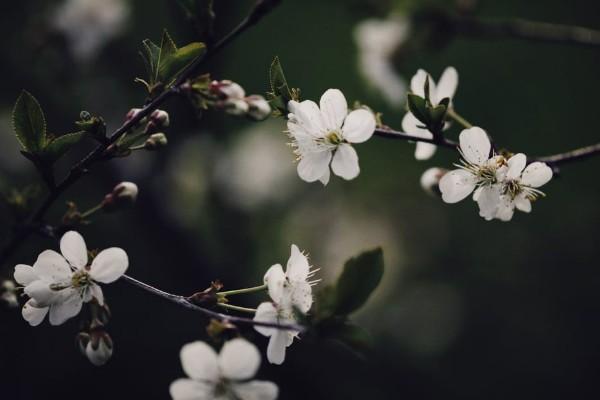 保險(xiǎn)退保要交稅嗎？怎么退可以降低損失？