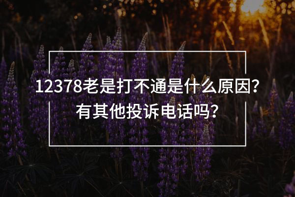 12378老是打不通是什么原因