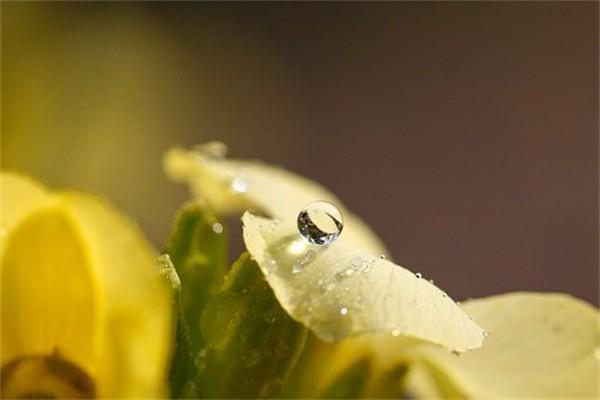 天安人壽保險(xiǎn)公司怎么樣，可靠嗎