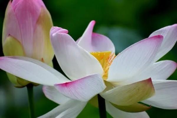 百萬醫(yī)療險和補充醫(yī)療的區(qū)別