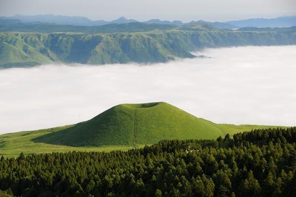 百萬(wàn)醫(yī)療險(xiǎn)有沒(méi)有等待期