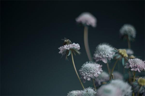 保險(xiǎn)退保的流程