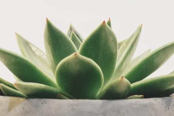 買保險(xiǎn)四年退保能退多少錢？退保流程是什么？